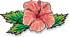 UNE BELLE FLEUR DE MAYOTTE